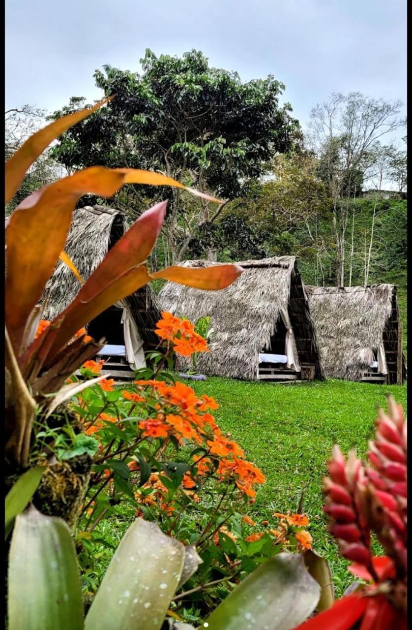 مبيت وإفطار Mocoa Rancho Porvenir المظهر الخارجي الصورة