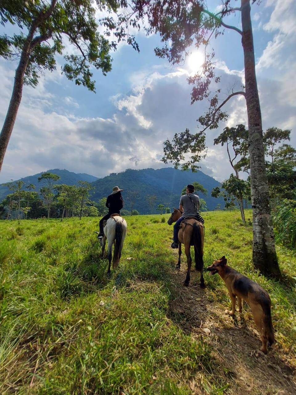 مبيت وإفطار Mocoa Rancho Porvenir المظهر الخارجي الصورة
